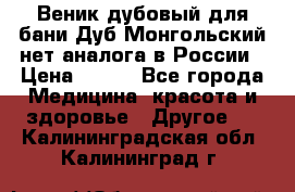 Веник дубовый для бани Дуб Монгольский нет аналога в России › Цена ­ 120 - Все города Медицина, красота и здоровье » Другое   . Калининградская обл.,Калининград г.